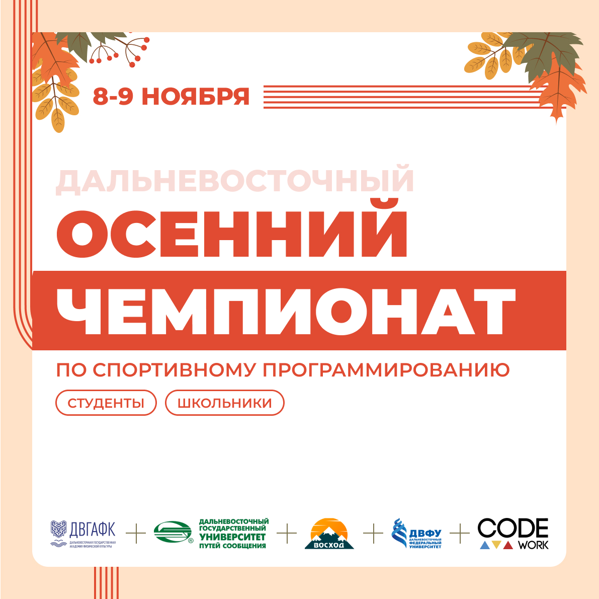 Дальневосточный осенний чемпионат по спортивному программированию пройдет в трех городах ДФО 