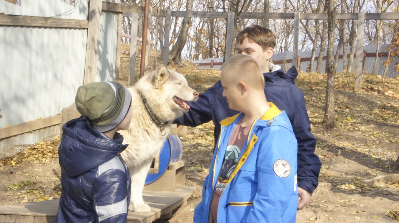 Учеба и польза обществу. Небольшой рассказ о реализации в ДВГАФК проекта «Обучение служением».