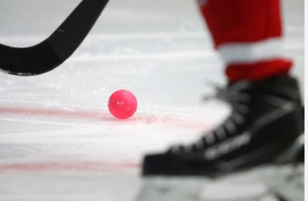 хокк с мяч1.jpg
